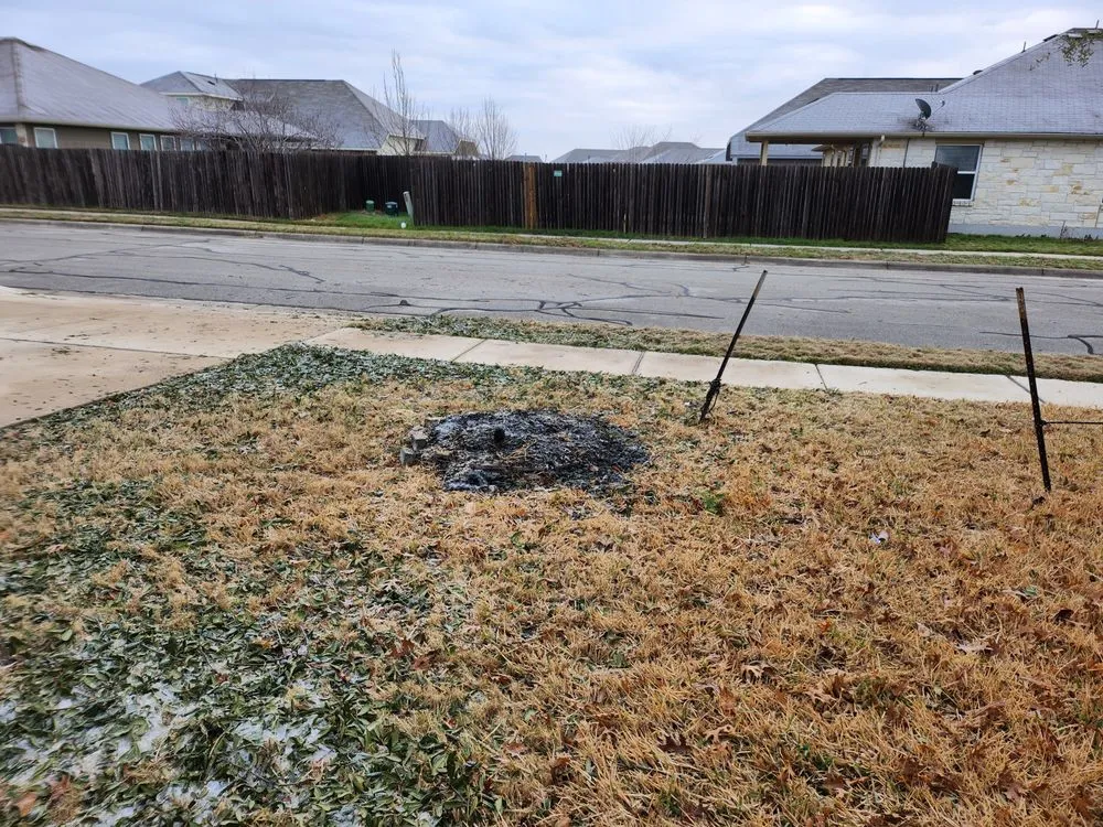 Local lawn mowing service for outdoor upgrades in Redwood City, CA by Hector Tree Service & Landscaping