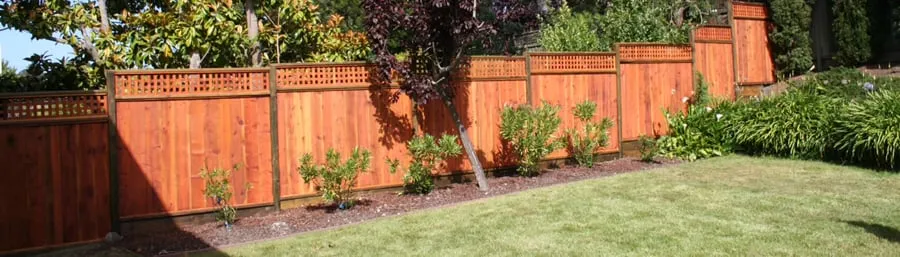 Top-rated yard cleanup service in Redwood City, CA by Hector Tree Service & Landscaping