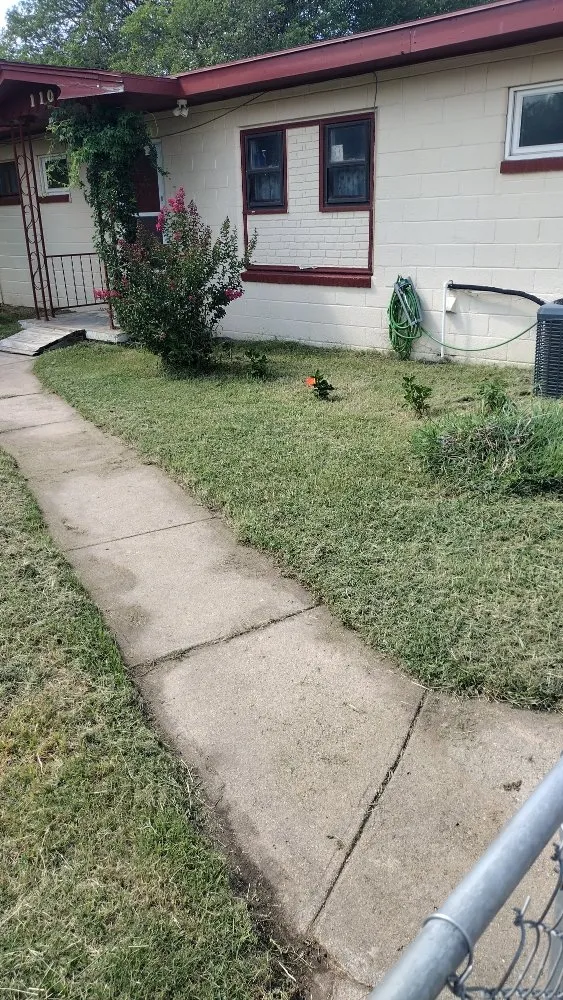 Local yard cleanup service in Wichita, KS by Hectors Handyman Service