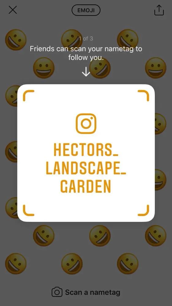 Affordable yard cleanup service in San Fernando, CA - Hectors Landscape & Gardens