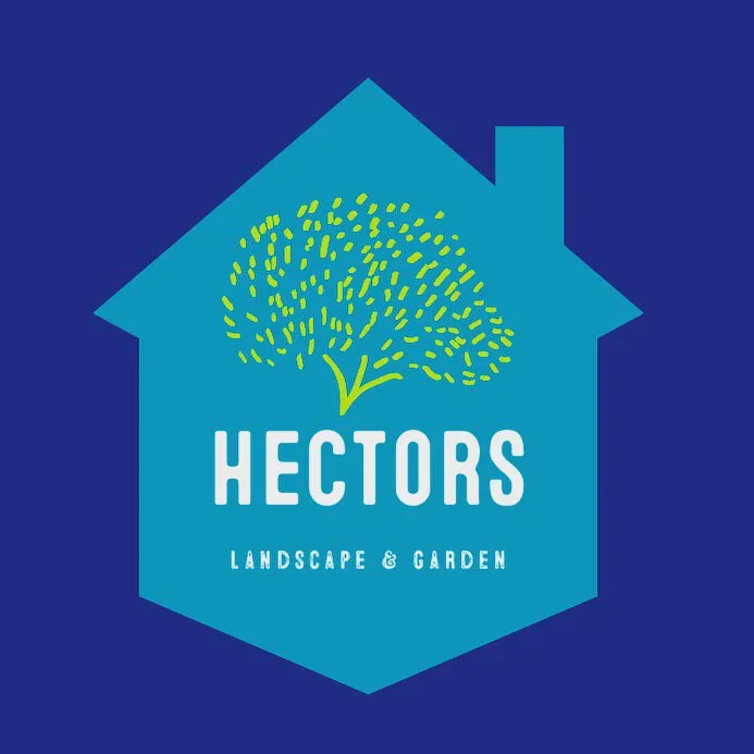 Expert lawn care service in San Fernando, CA - Hectors Landscape & Gardens
