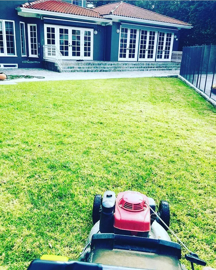 Professional landscape installation with custom design across San Fernando, CA - Hectors Landscape & Gardens