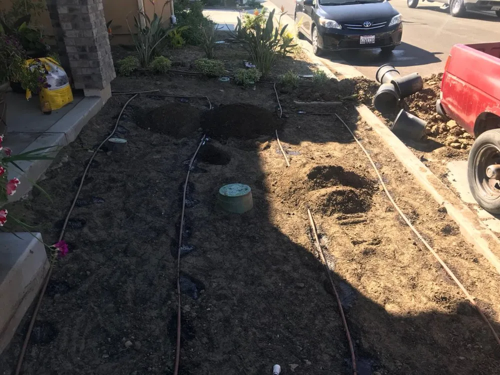 Professional lawn care service in San Fernando, CA - Hectors Landscape & Gardens