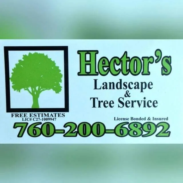 Trusted yard maintenance near you in Coachella, CA by Hector's Landscape & Tree Service