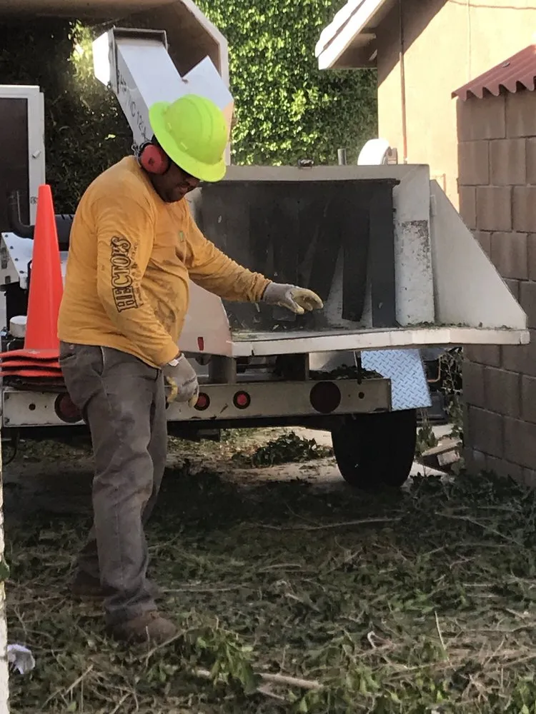 Reliable landscaping services experts serving Coachella, CA - Hector's Landscape & Tree Service