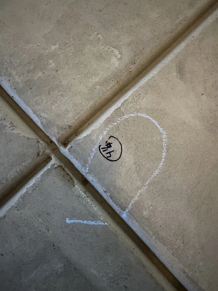 Reliable lawn care service experts serving Federal Heights, CO - Hector's Landscaping and Construction