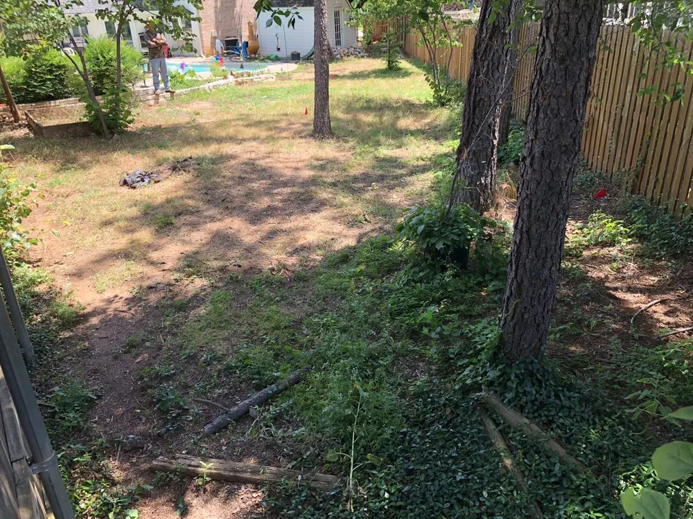 Local yard maintenance for outdoor upgrades across Euless, TX - Hectors landscaping