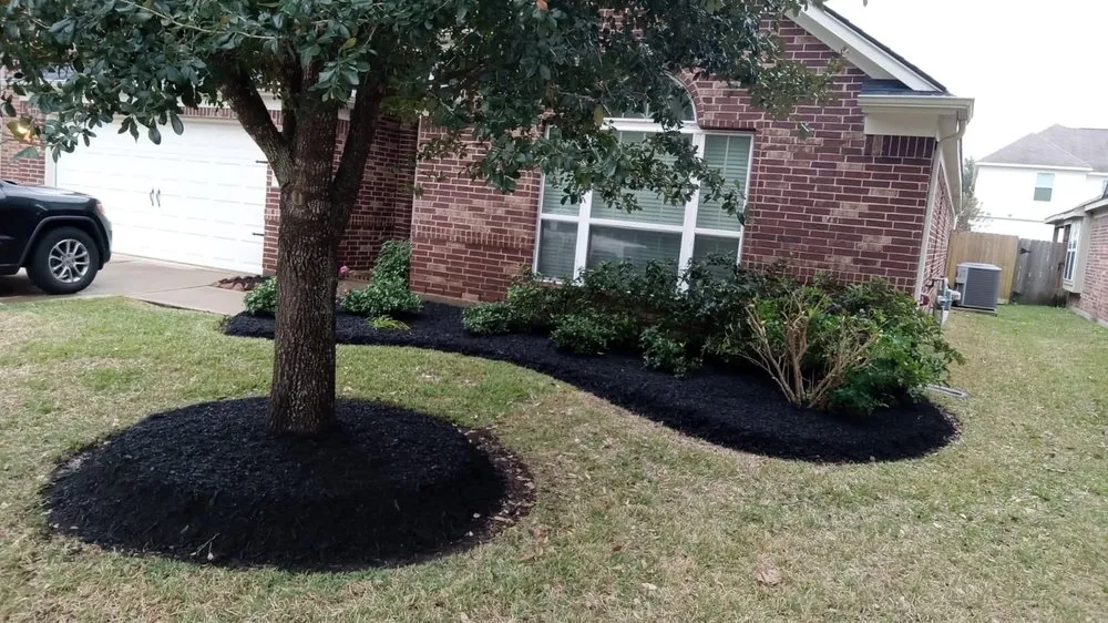 Top-rated yard cleanup service near you across Houston, TX - Hector's Landscaping