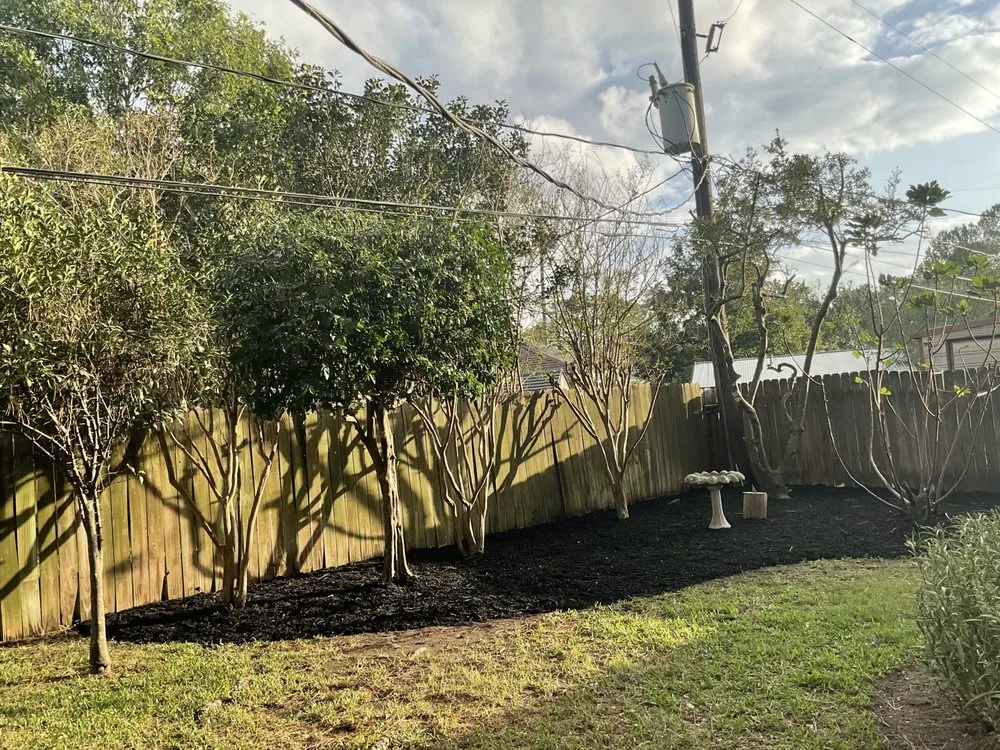 Professional yard maintenance in Houston, TX - Hector's Landscaping