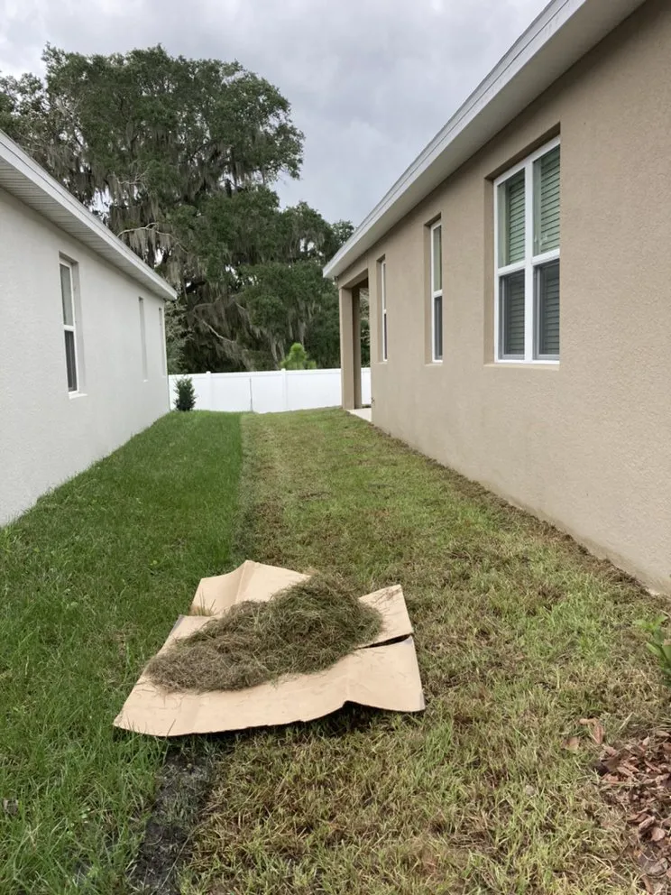 Professional lawn care service in Leesburg, FL - Hector’s Landscaping