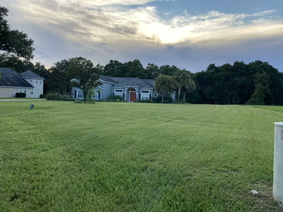 Custom yard cleanup service experts serving Leesburg, FL - Hector’s Landscaping