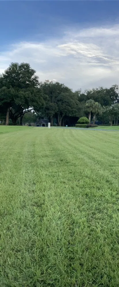 Top-rated landscape installation in Leesburg, FL by Hector’s Landscaping