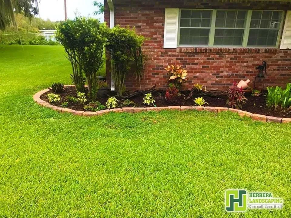 Local lawn care service in Leesburg, FL by Hector’s Landscaping