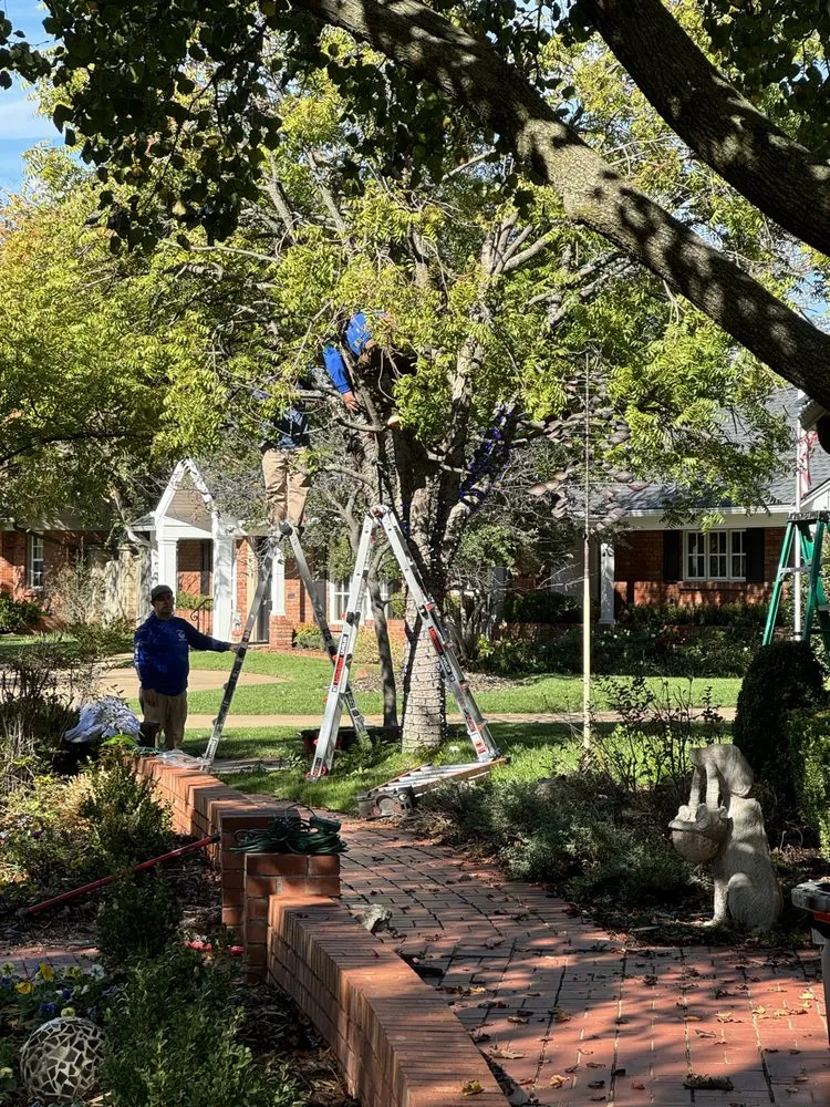 Top-rated lawn mowing service in Oklahoma City, OK - Hector’s Landscaping