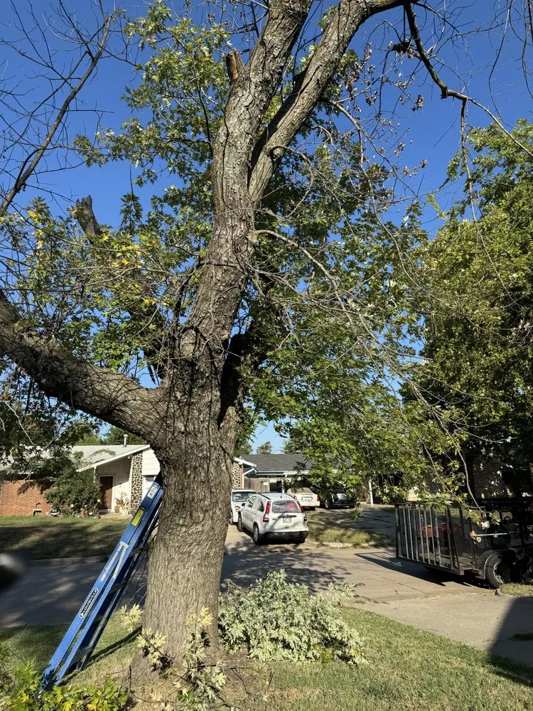 Custom yard cleanup service in Oklahoma City, OK by Hector’s Landscaping