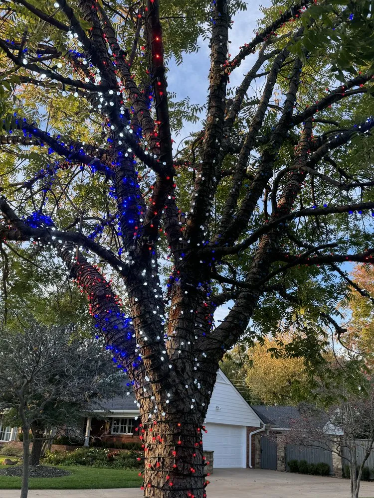 Reliable lawn care service in Oklahoma City, OK by Hector’s Landscaping