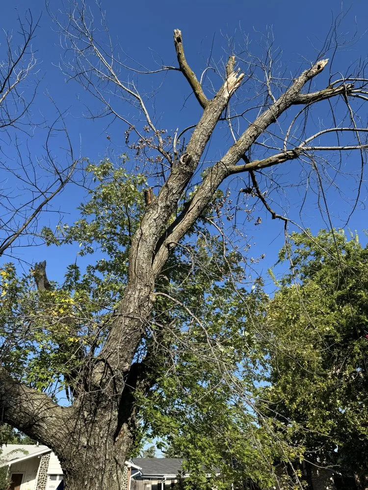 Local lawn mowing service experts serving Oklahoma City, OK - Hector’s Landscaping