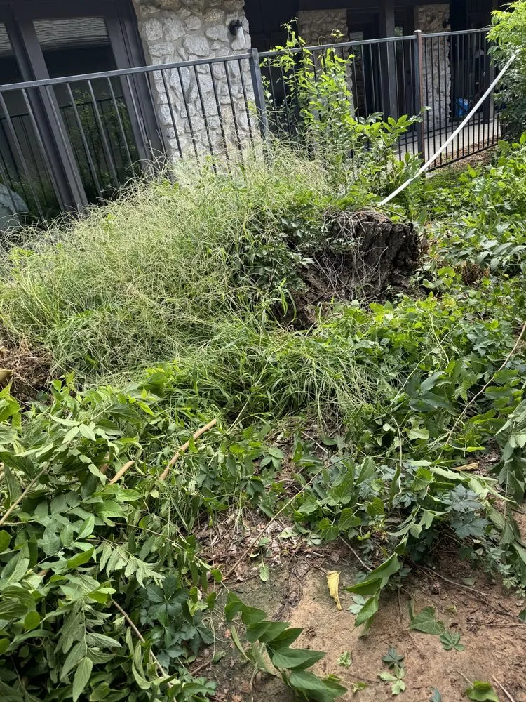 Local garden landscaping for beautiful yards across Oklahoma City, OK - Hector’s Landscaping