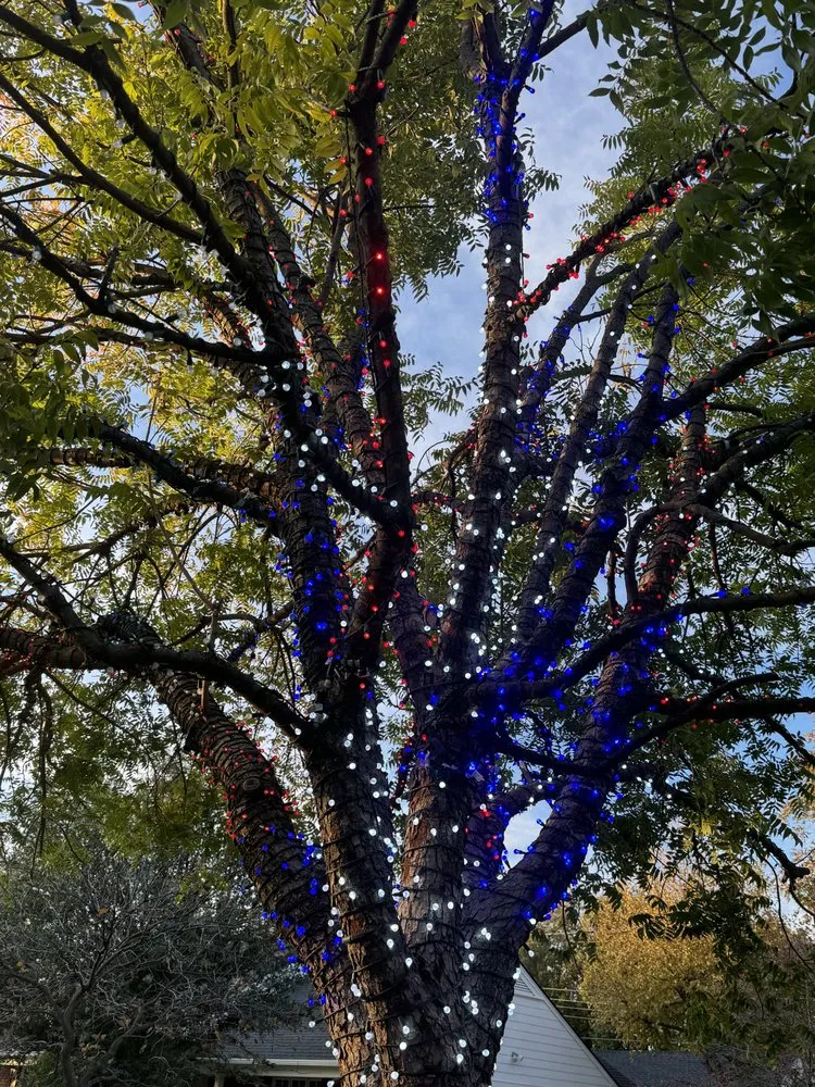 Reliable landscape installation in Oklahoma City, OK by Hector’s Landscaping