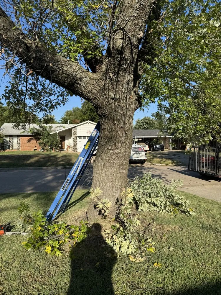 Top-rated lawn mowing service experts serving Oklahoma City, OK - Hector’s Landscaping