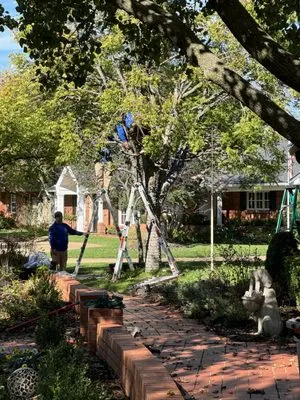 Hector’s Landscaping Logo