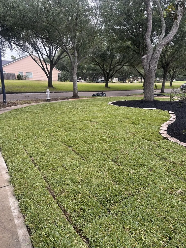 Local landscape installation in Pasadena, TX - Hector’s Landscaping