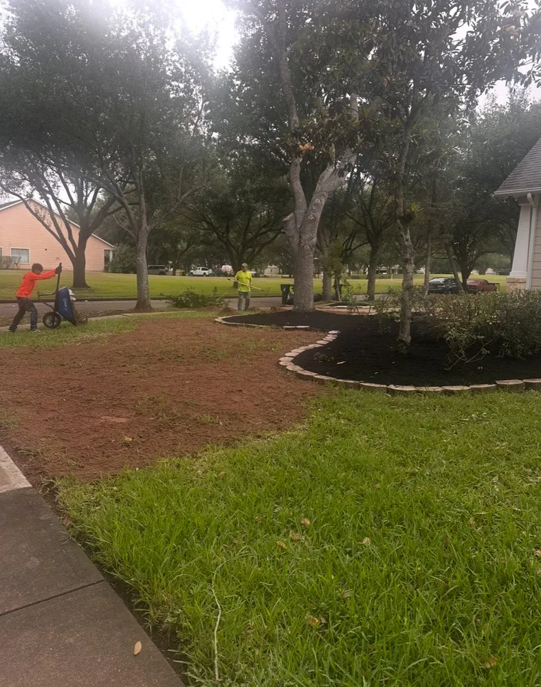 Trusted lawn care service for outdoor upgrades across Pasadena, TX - Hector’s Landscaping