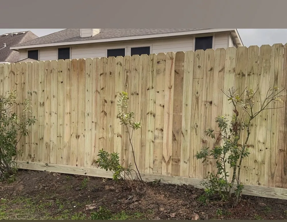 Professional yard cleanup service experts serving Pasadena, TX - Hector’s Landscaping