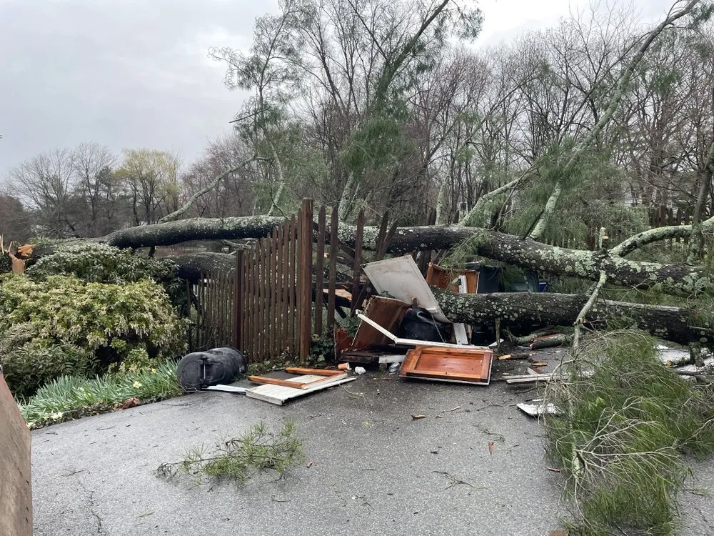 Top-rated landscaping services for residential properties across Port Chester, NY - Hector’s Landscaping