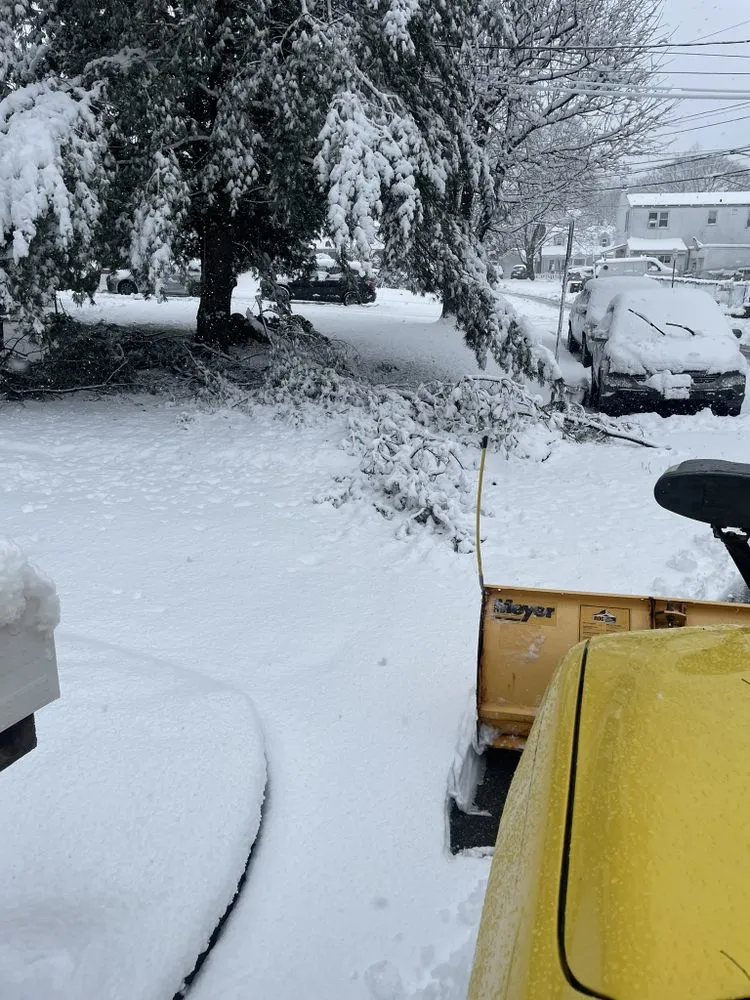 Trusted garden landscaping in Port Chester, NY by Hector’s Landscaping