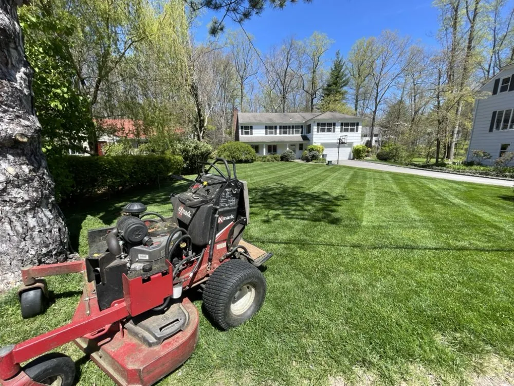 Professional yard cleanup service in Port Chester, NY by Hector’s Landscaping