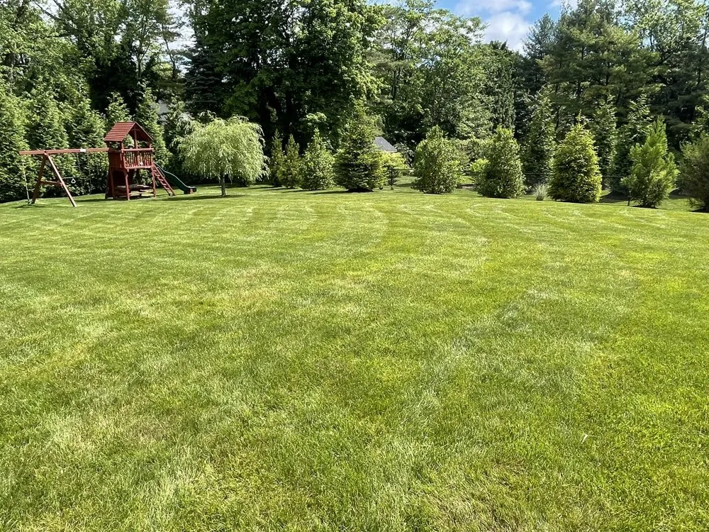 Local landscape installation experts serving Port Chester, NY - Hector’s Landscaping