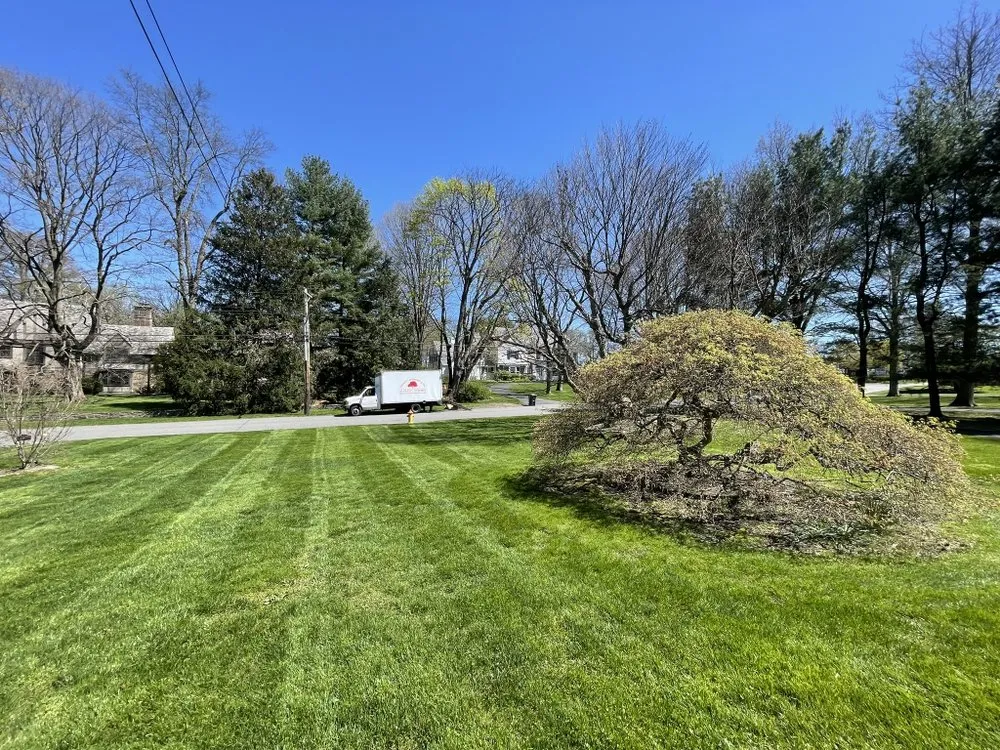 Reliable yard maintenance experts serving Port Chester, NY - Hector’s Landscaping
