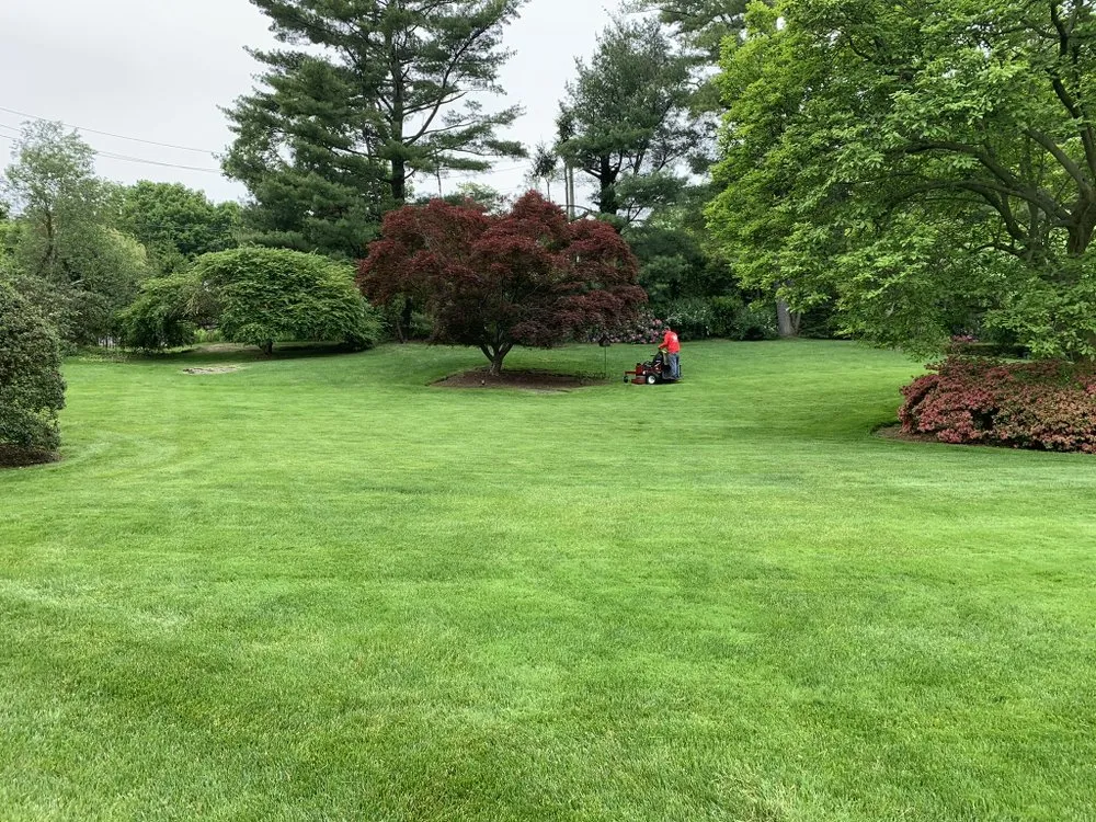 Expert landscape design in Port Chester, NY by Hector’s Landscaping