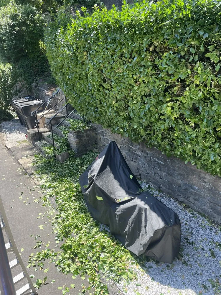 Trusted landscape design in Port Chester, NY by Hector’s Landscaping