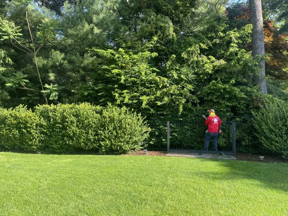 Custom lawn care service in Port Chester, NY - Hector’s Landscaping