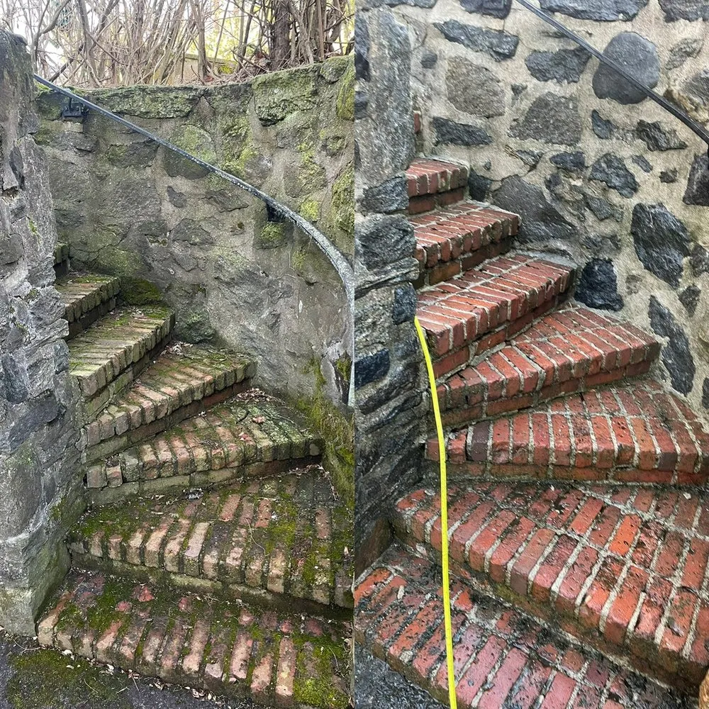 Top-rated yard maintenance experts serving Port Chester, NY - Hector’s Landscaping