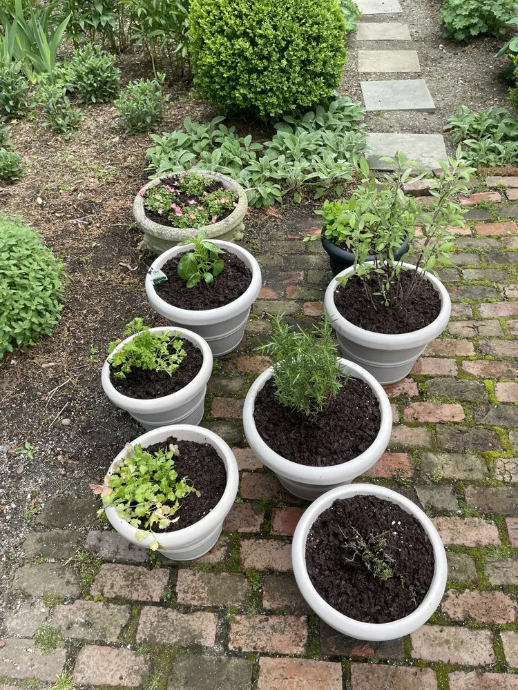 Professional yard maintenance experts serving Port Chester, NY - Hector’s Landscaping