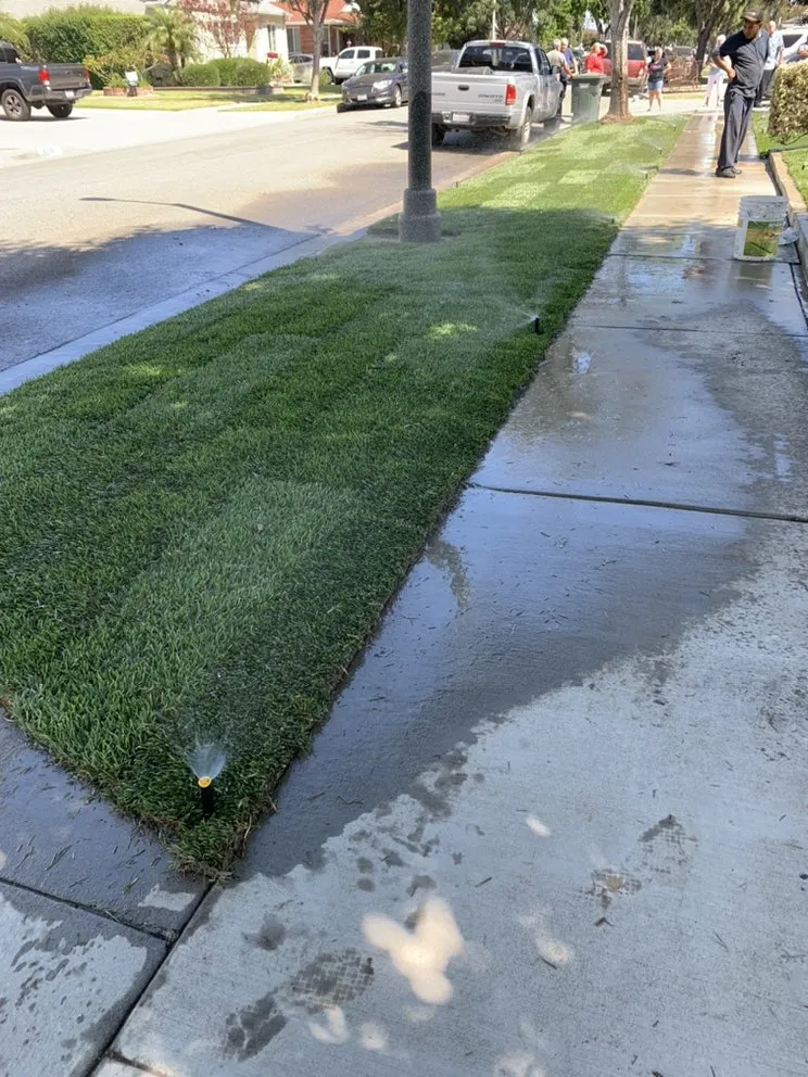 Trusted outdoor landscaping for homes in Hawaiian Gardens, CA by Hector’s Landscaping Services