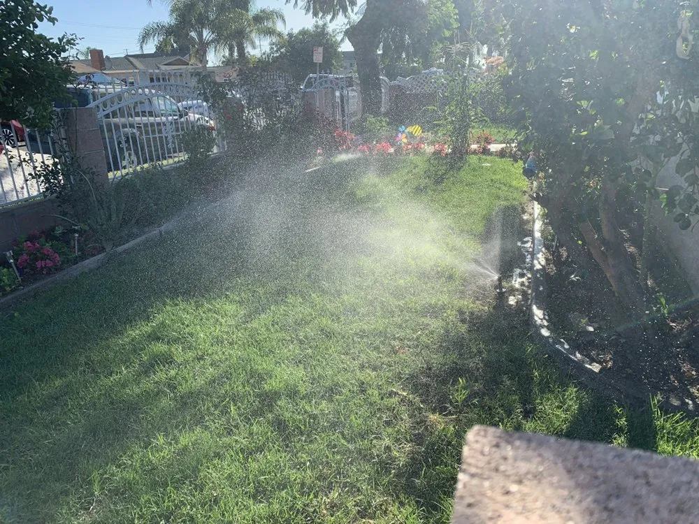 Reliable yard cleanup service with custom design in Hawaiian Gardens, CA by Hector’s Landscaping Services