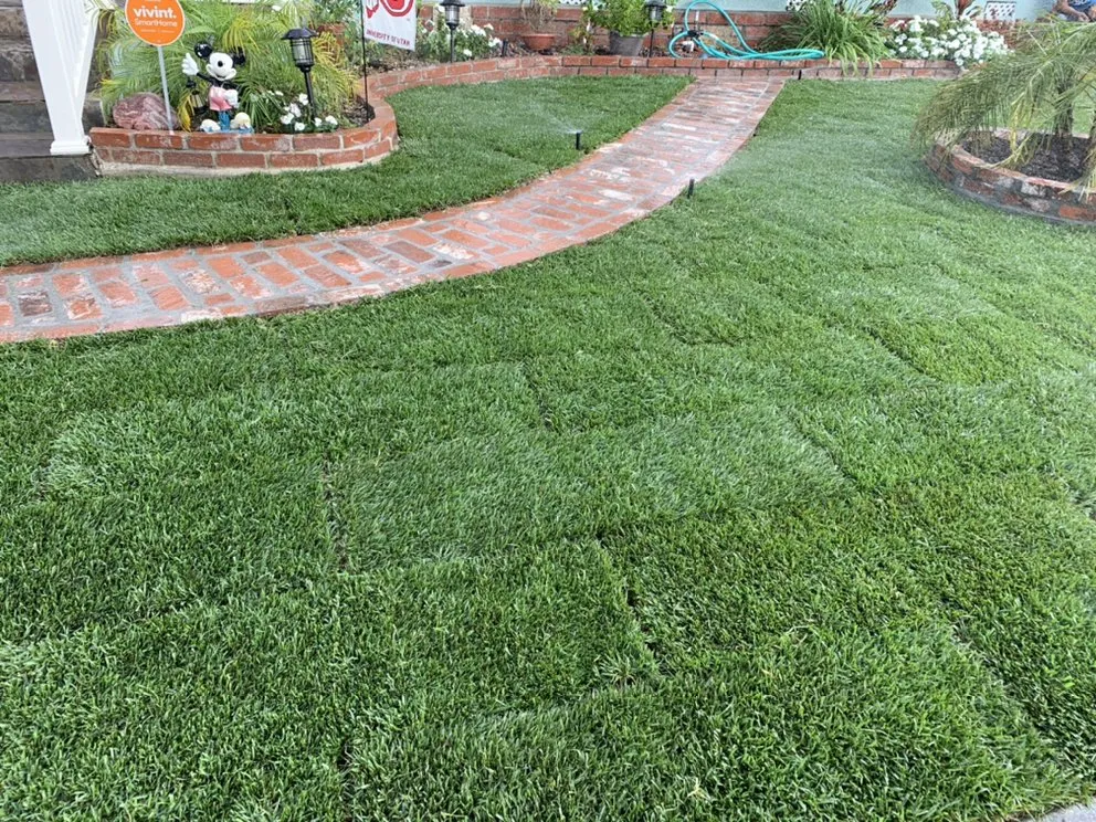 Expert landscape installation in Hawaiian Gardens, CA - Hector’s Landscaping Services