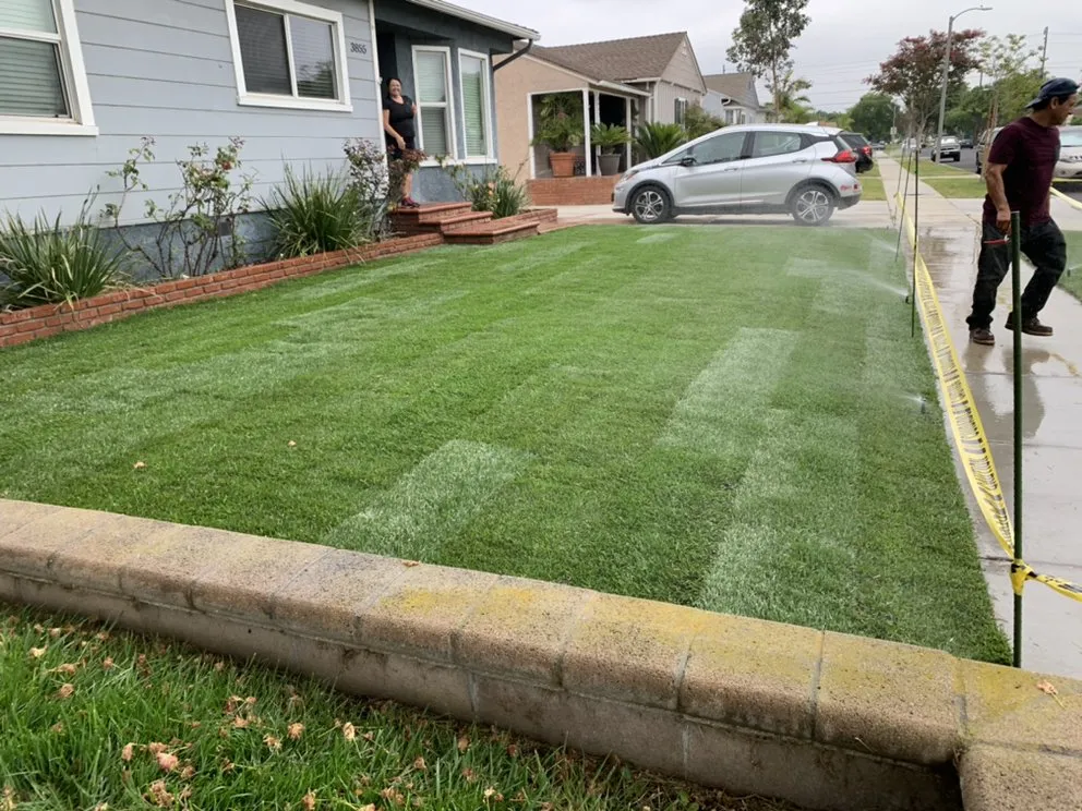 Professional yard cleanup service in Hawaiian Gardens, CA - Hector’s Landscaping Services