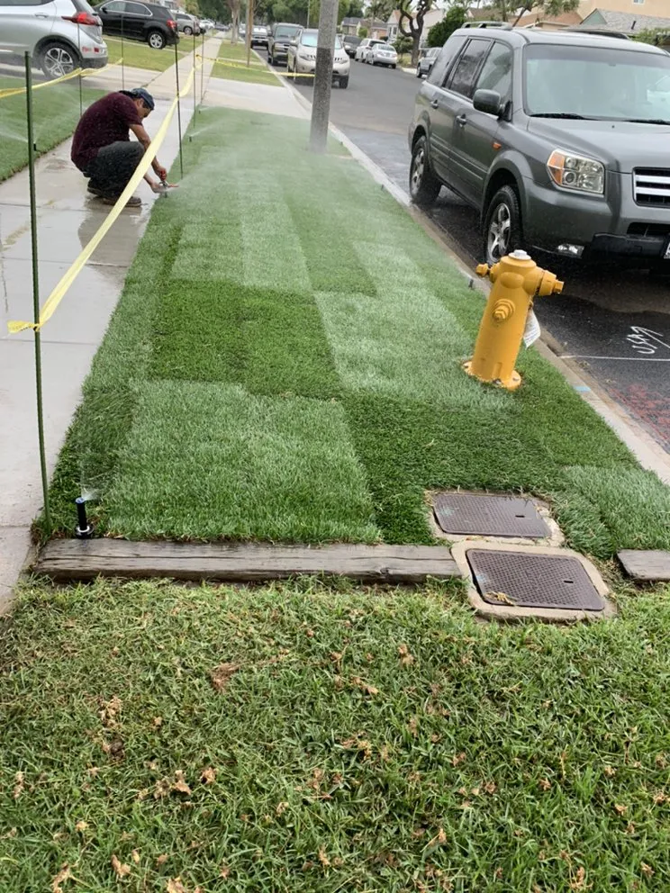 Custom lawn mowing service in Hawaiian Gardens, CA by Hector’s Landscaping Services