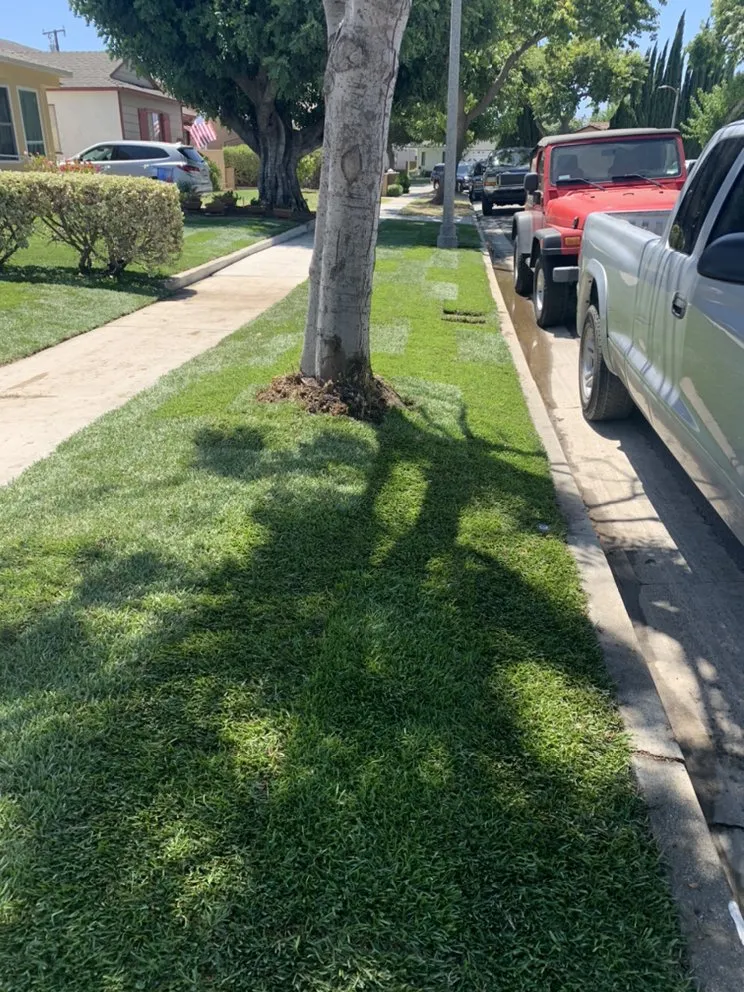 Affordable garden landscaping experts serving Hawaiian Gardens, CA - Hector’s Landscaping Services