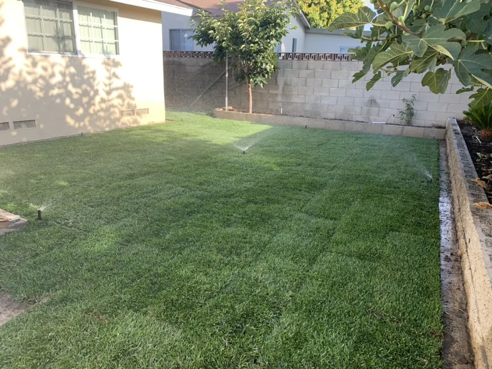 Affordable yard maintenance in Hawaiian Gardens, CA by Hector’s Landscaping Services
