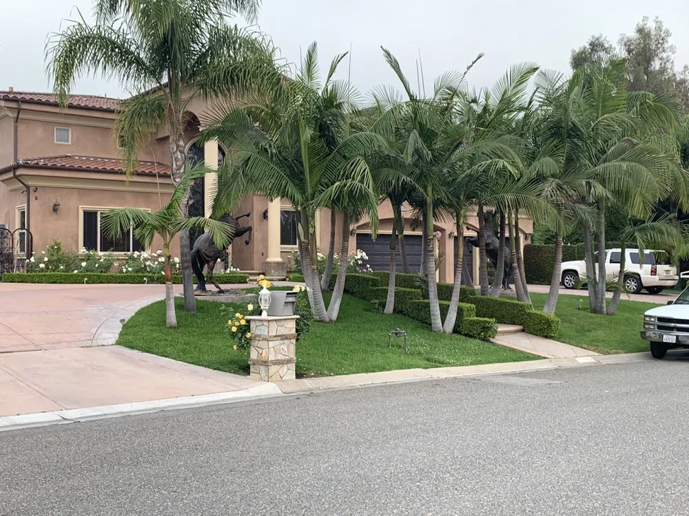 Trusted lawn care service for beautiful yards across Hawaiian Gardens, CA - Hector’s Landscaping Services