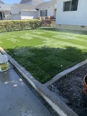 Hector’s Landscaping Services