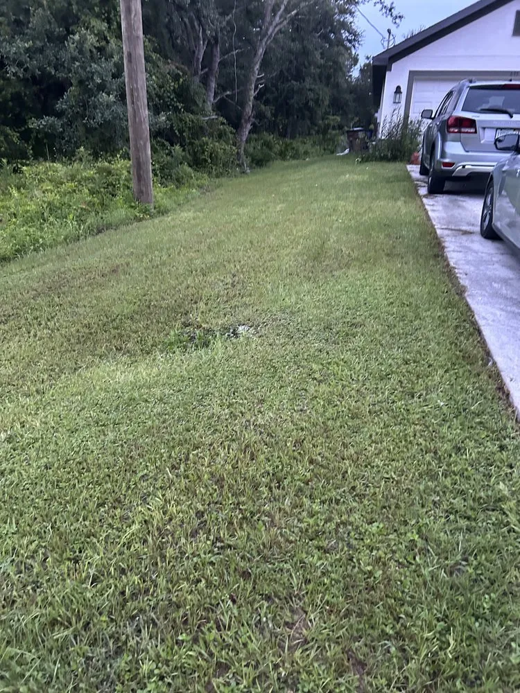 Top-rated outdoor landscaping experts serving Lehigh Acres, FL - Hectors Lanscape