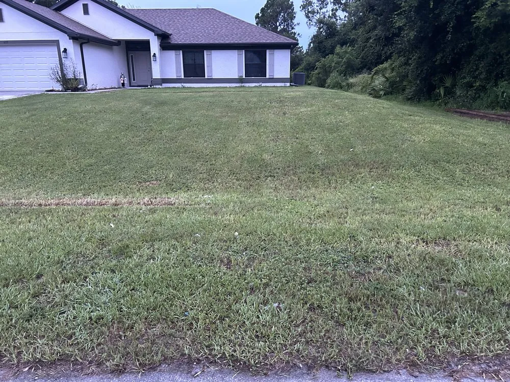 Reliable landscape installation for outdoor upgrades in Lehigh Acres, FL by Hectors Lanscape