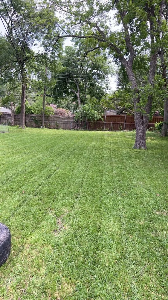 Professional lawn mowing service for outdoor upgrades across Fort Worth, TX - Hectors Lawn Care